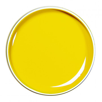 PAINTING GEL YELLOW 02 10g.