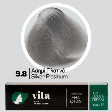 9.8 Βαφή Ασημί - Πλατινέ...