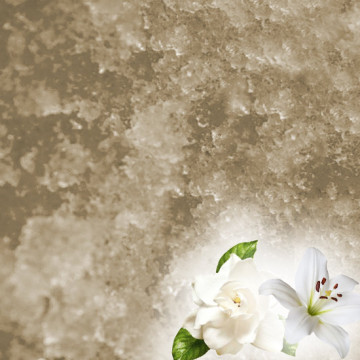 JELLY SPA Pedicure &...