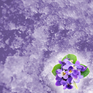 JELLY SPA Pedicure &...